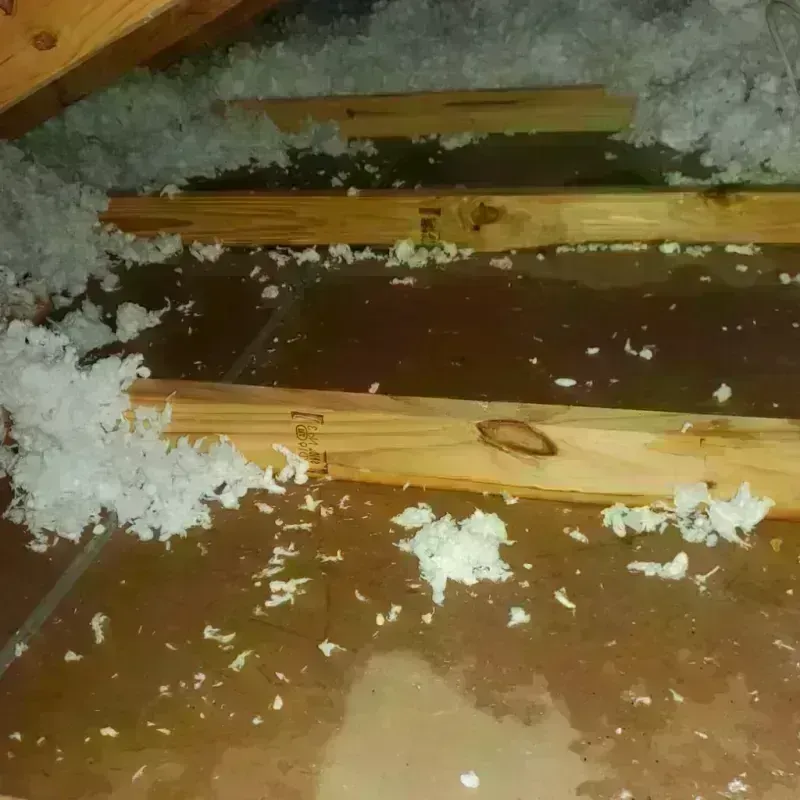 Attic Water Damage in Mayflower Village, CA